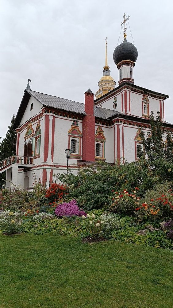 Фотография автора Дарья Петровская