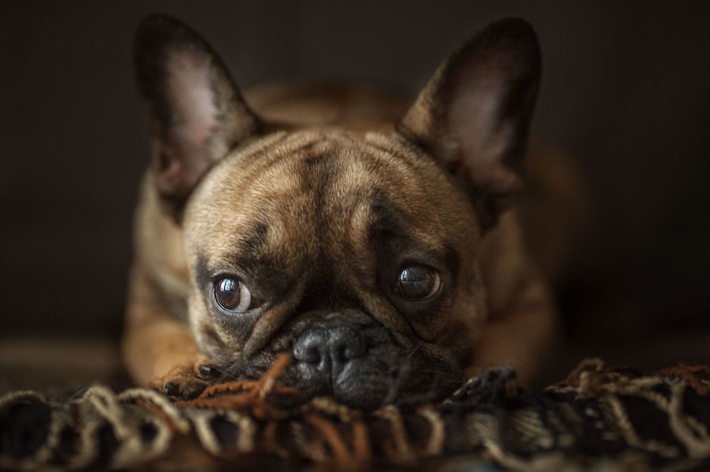 Photograph by Ольга Софронова