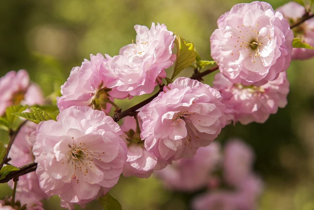 Photograph by Ольга Дядченко