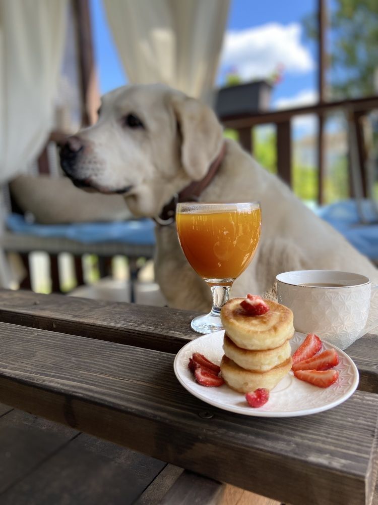 Photograph by Наталья Душакова