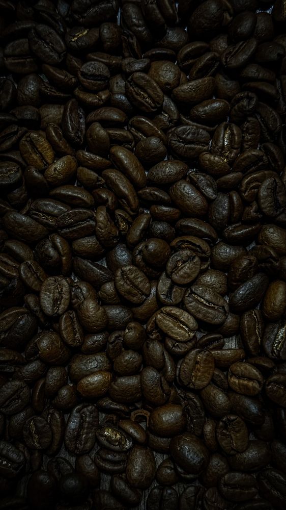 Photograph by Ekaterina Slepneva