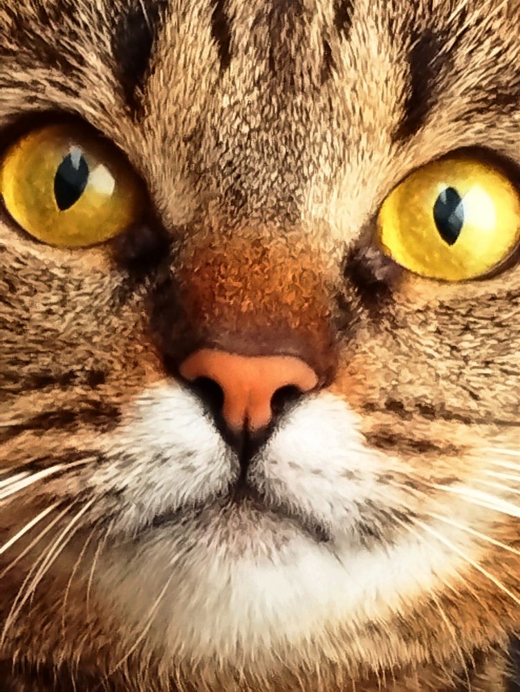 Photograph by Ия Дирко