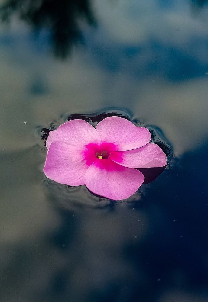Photograph by Екатерина Дзюба
