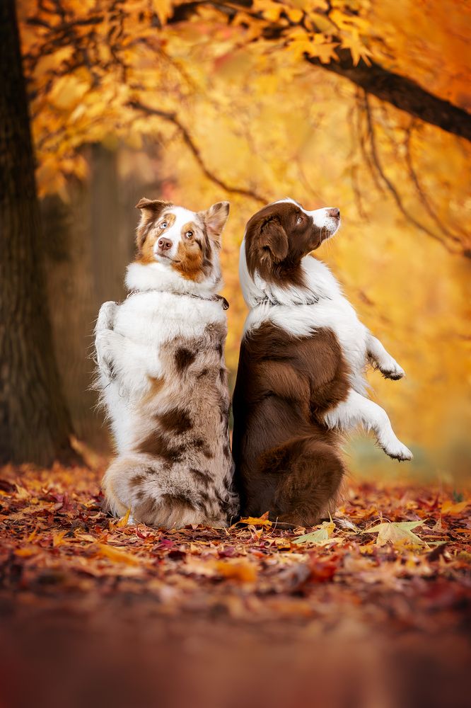 Photograph by Ирина Голомб