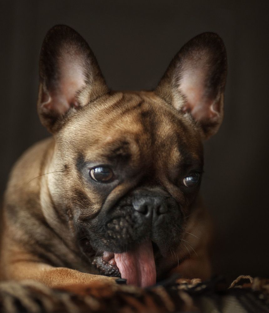 Photograph by Ольга Софронова