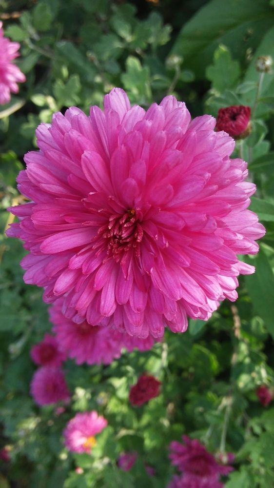 Photograph by Елена Лещева