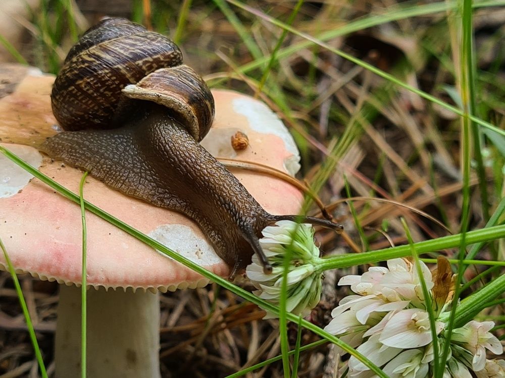 Photograph by Татьяна Соколовская