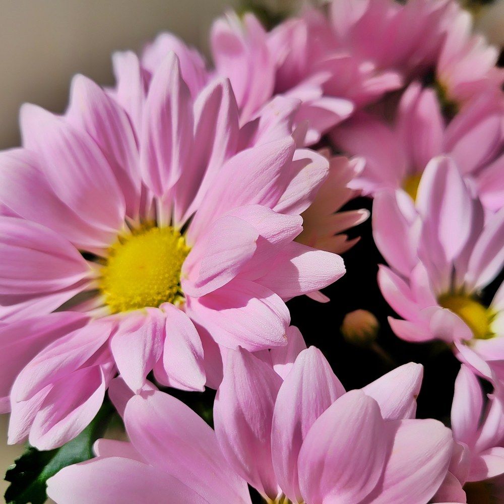 Photograph by Catherine Walter-Prêtre