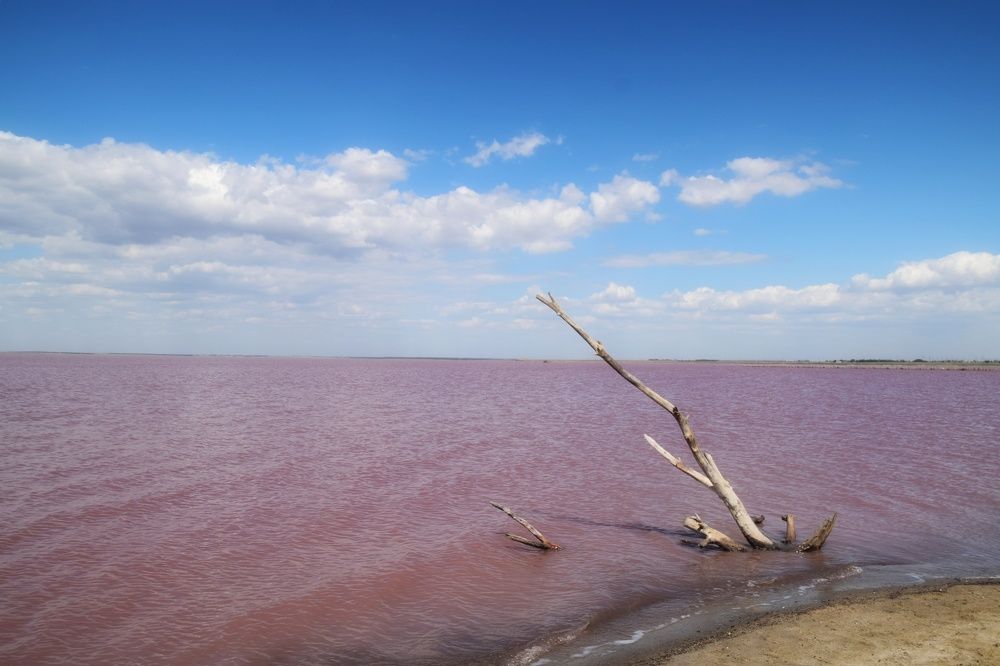 Photograph by Maiya Bulatova