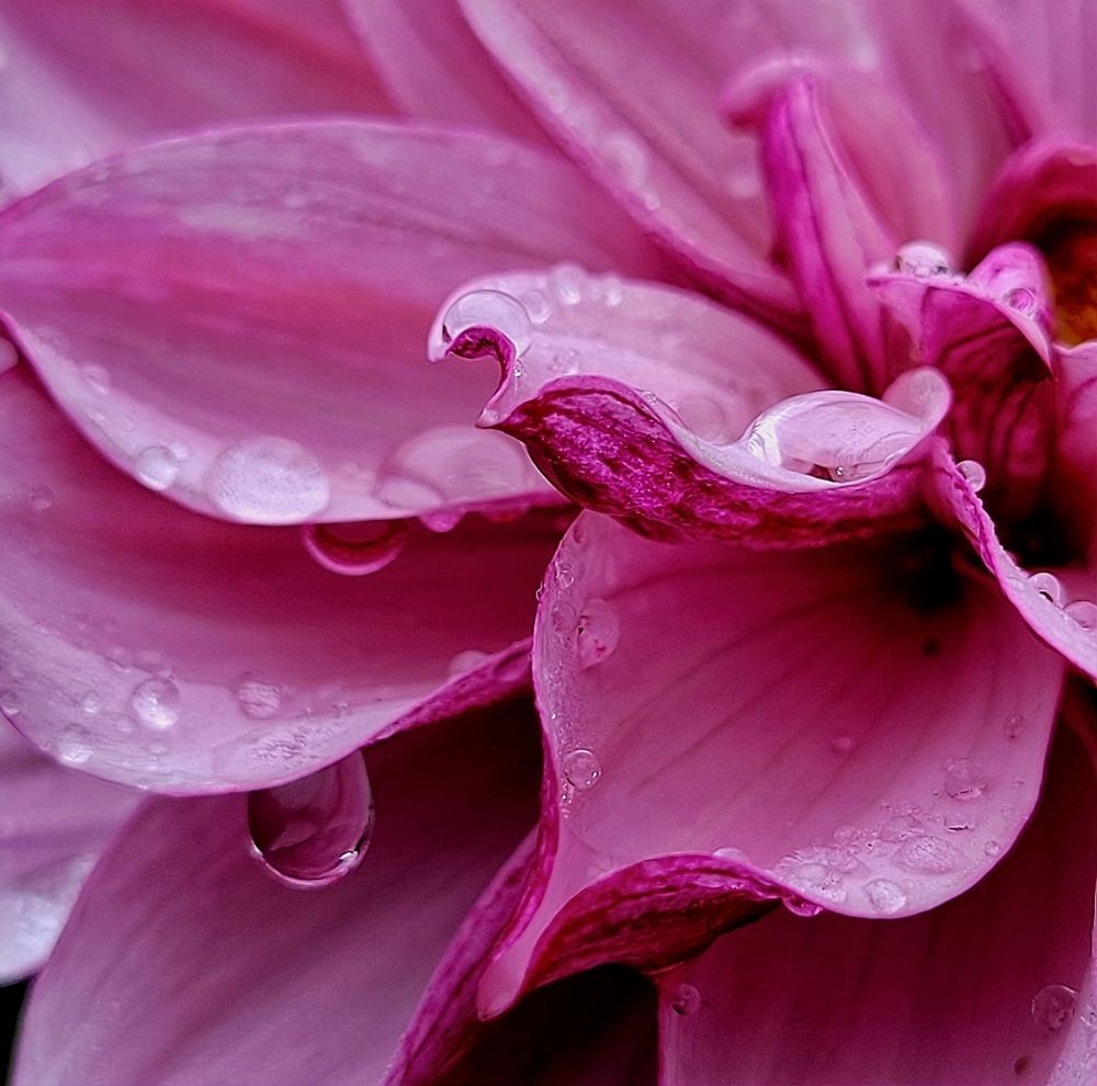 Photograph by Catherine Walter-Prêtre