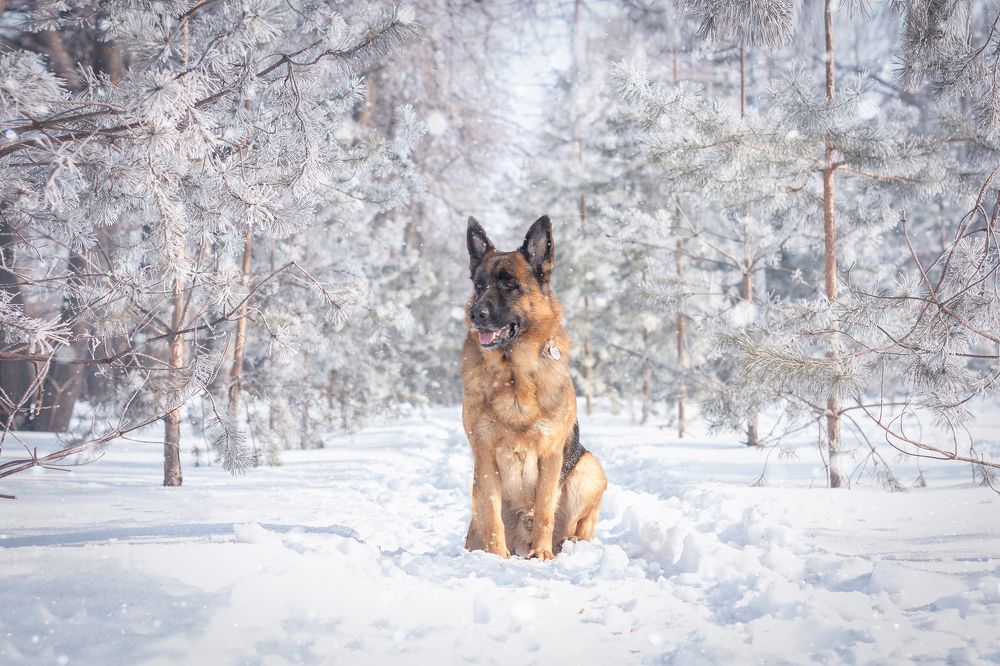 Photograph by Любовь Головина