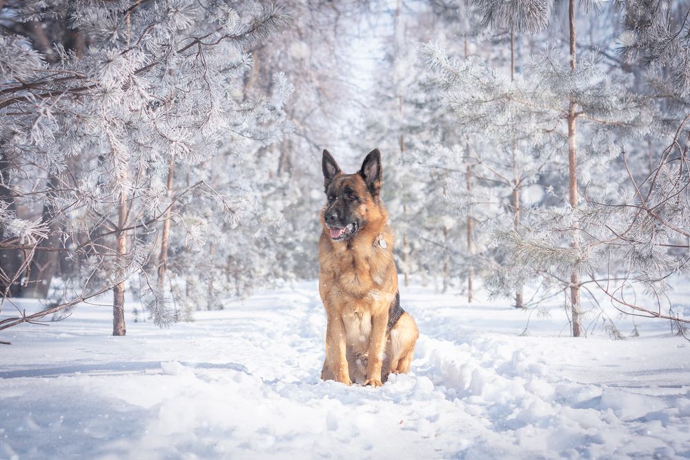 Photograph by Любовь Головина