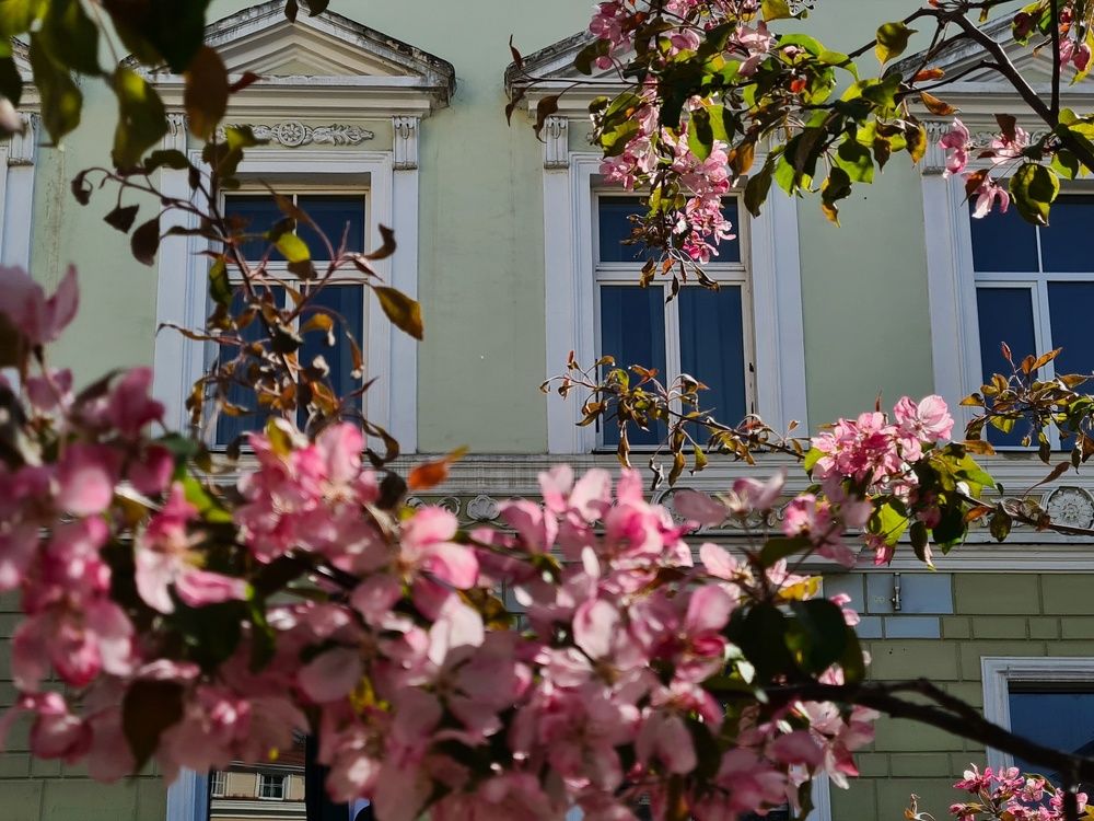 Photograph by Татьяна Соколовская