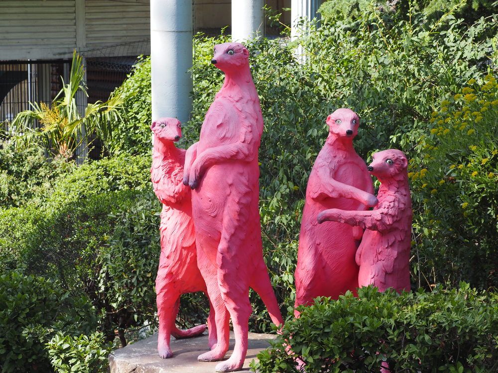 Photograph by Сергей Борисов