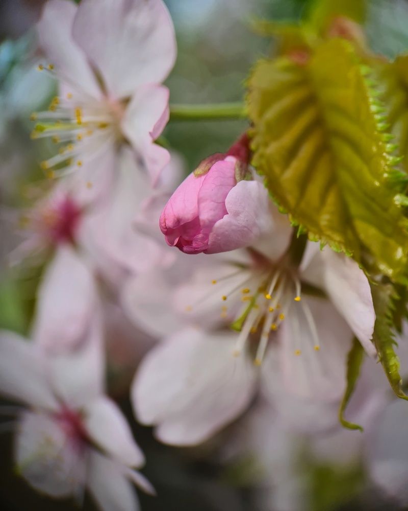 Photograph by Татьяна Соколовская