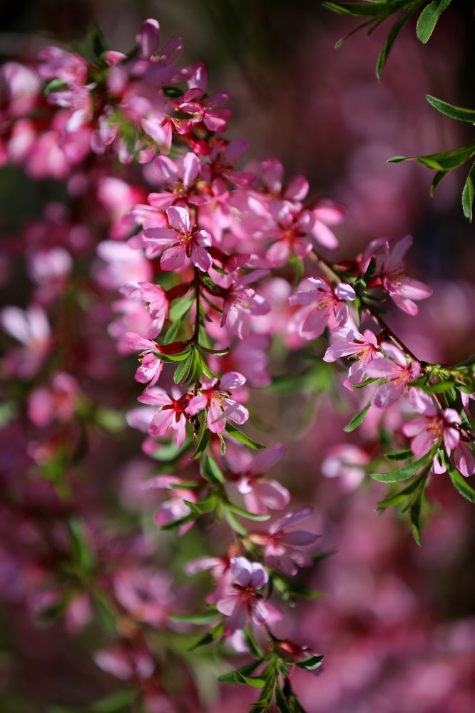 Photograph by Унку Юрий