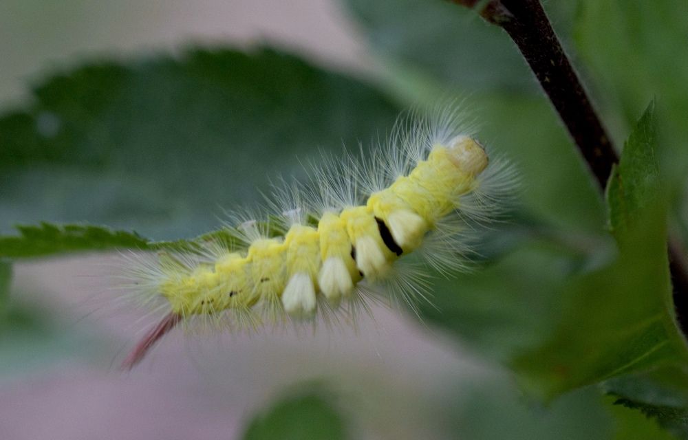 Фотография автора Ираида Гайфуллина