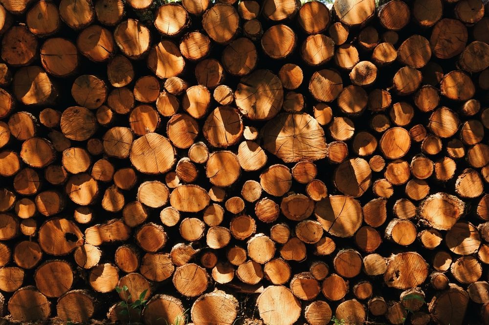 Фотография автора Анастасия Лапта