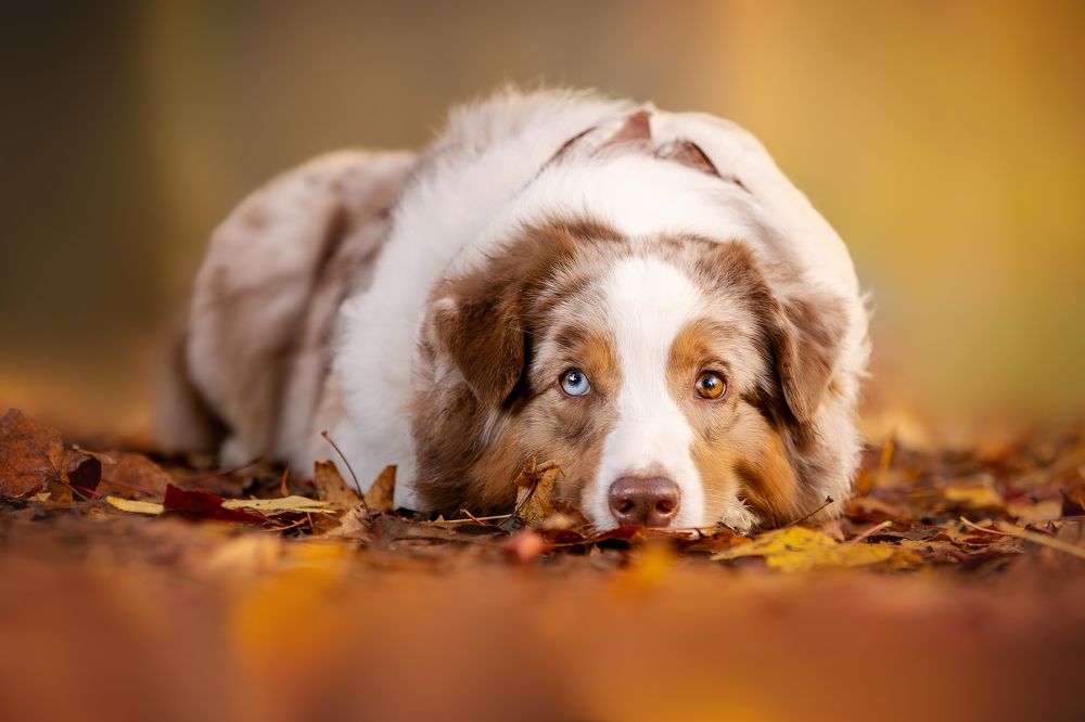 Photograph by Ирина Голомб