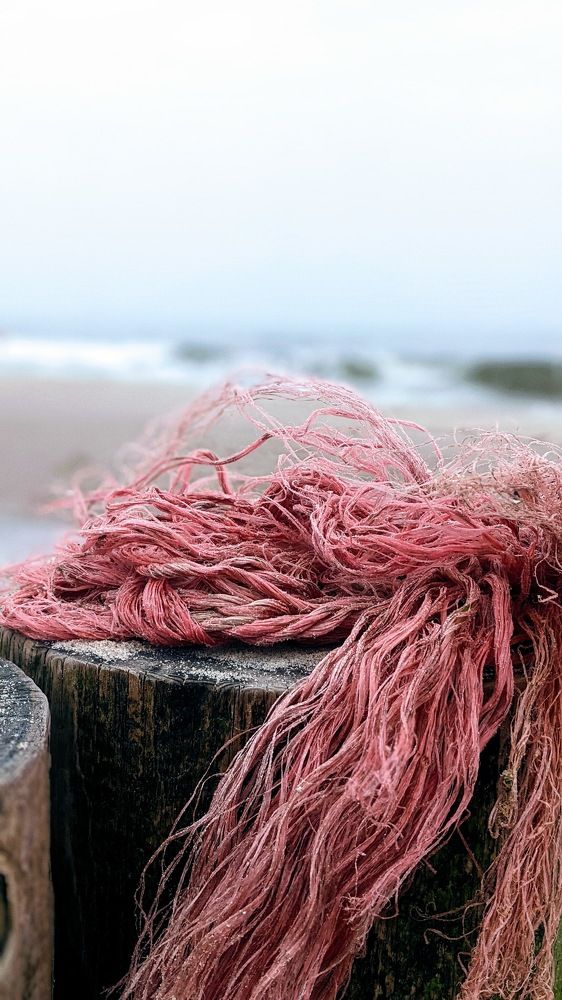 Фотография автора Ксения Шляйхер