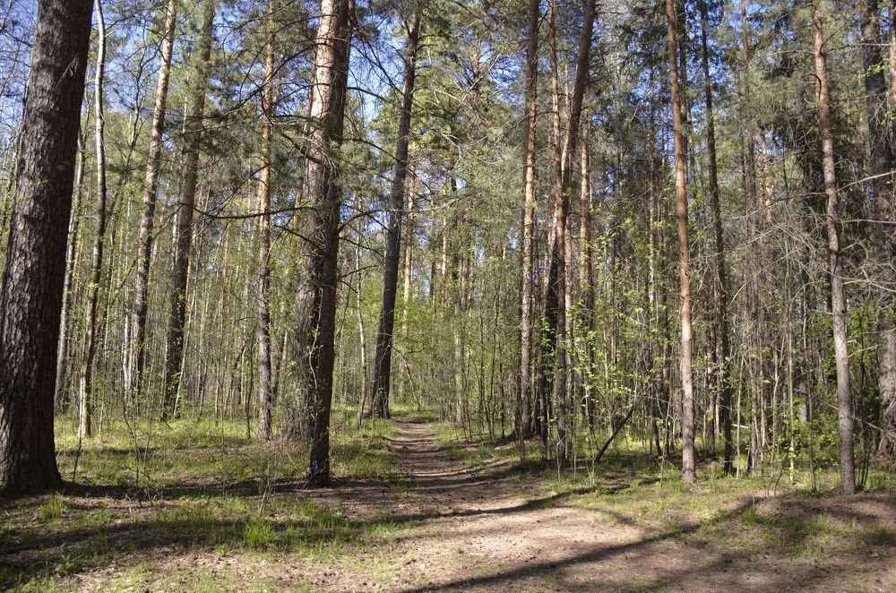 Фотография автора Алексей Власов