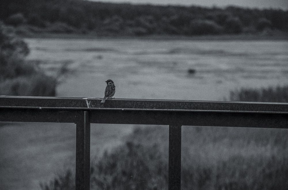 Фотография автора Крутяков Арсений