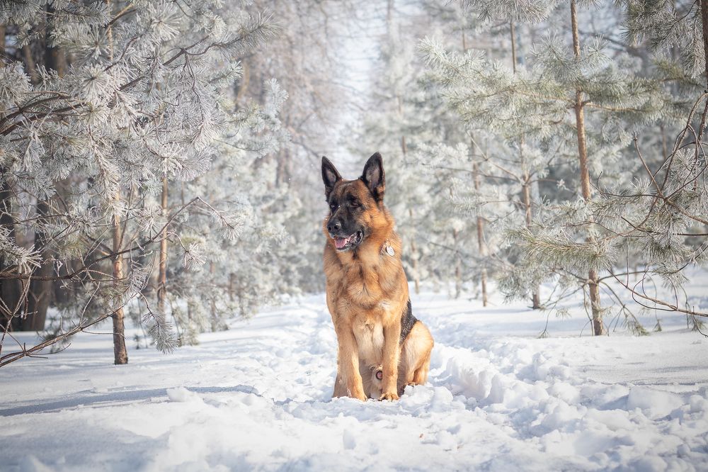 Photograph by Любовь Головина