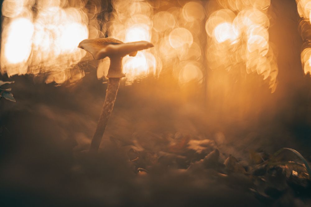 Photograph by Uros Novina