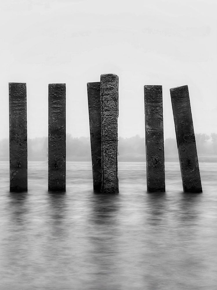 Фотография автора Tatiana Gongharova