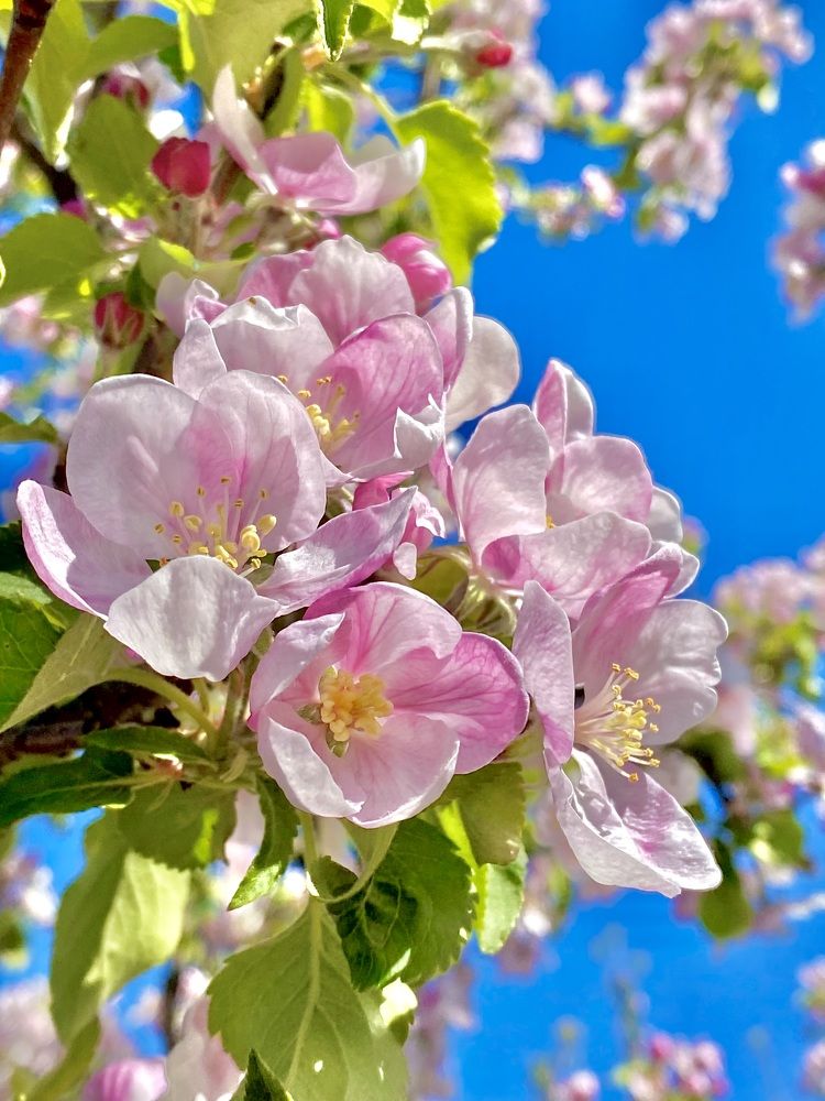 Photograph by Ольга Левенец