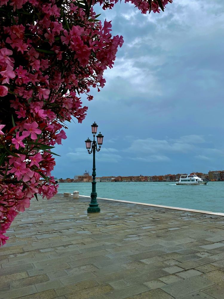 Photograph by Ольга Левенец