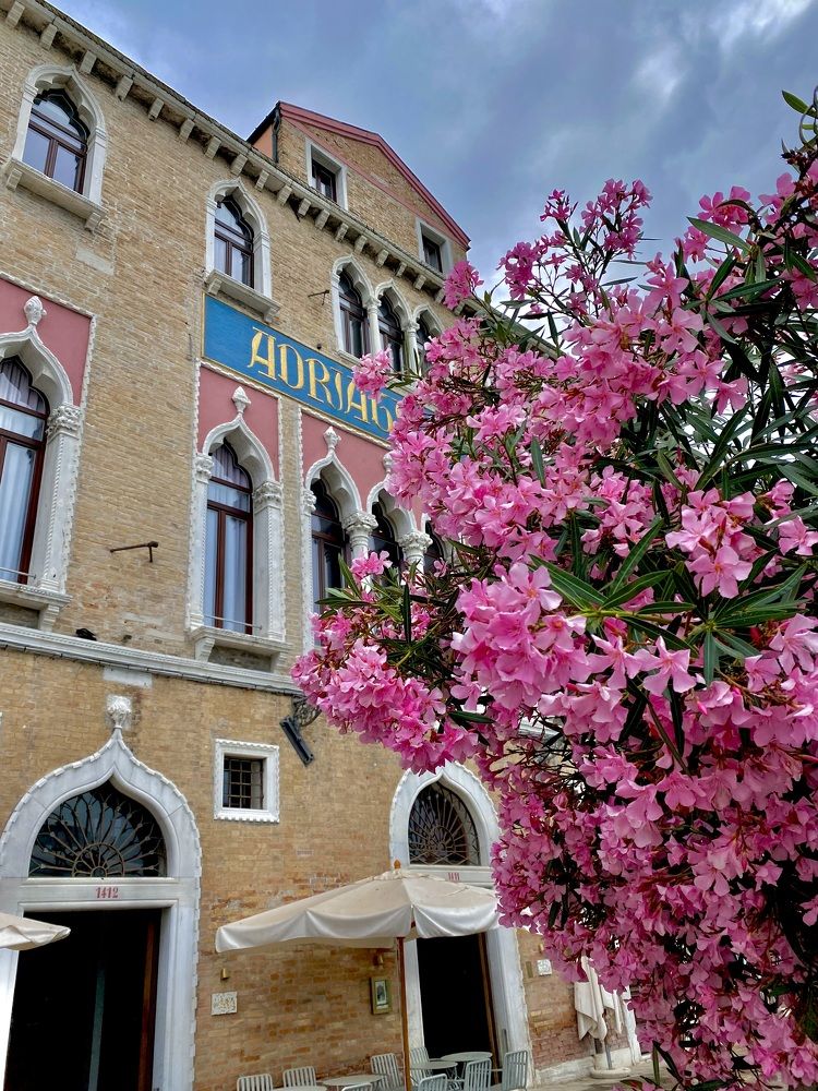 Photograph by Ольга Левенец