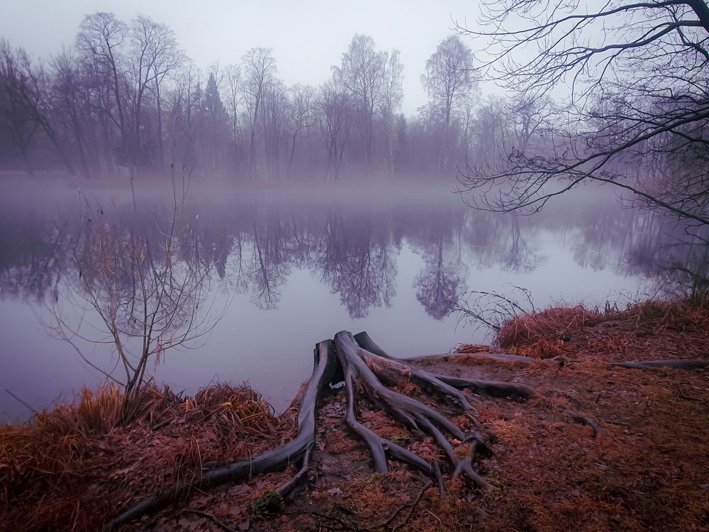 Фотография автора Inna Evseeva