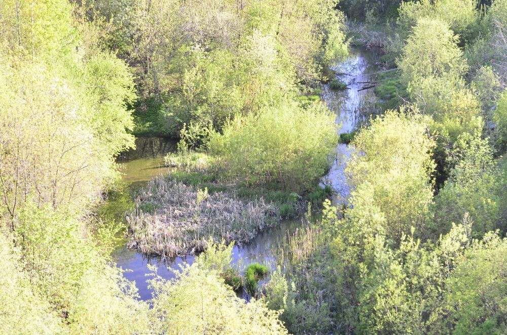 Фотография автора Алексей Власов