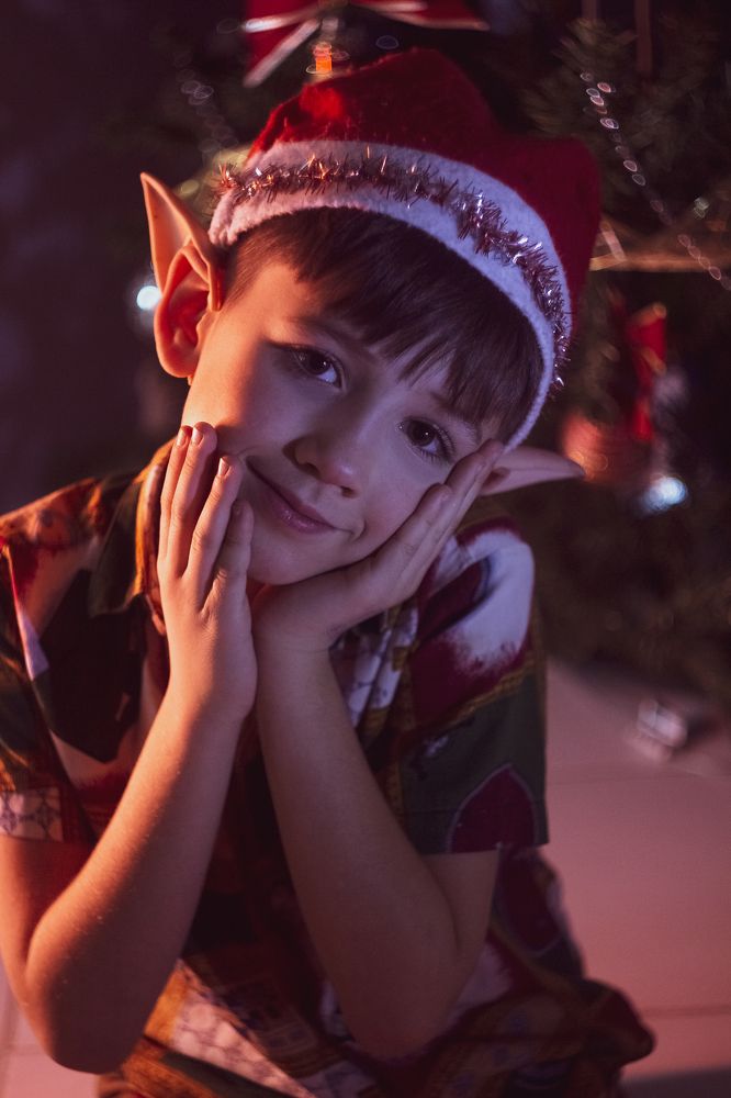 Новогоднее перевоплощение