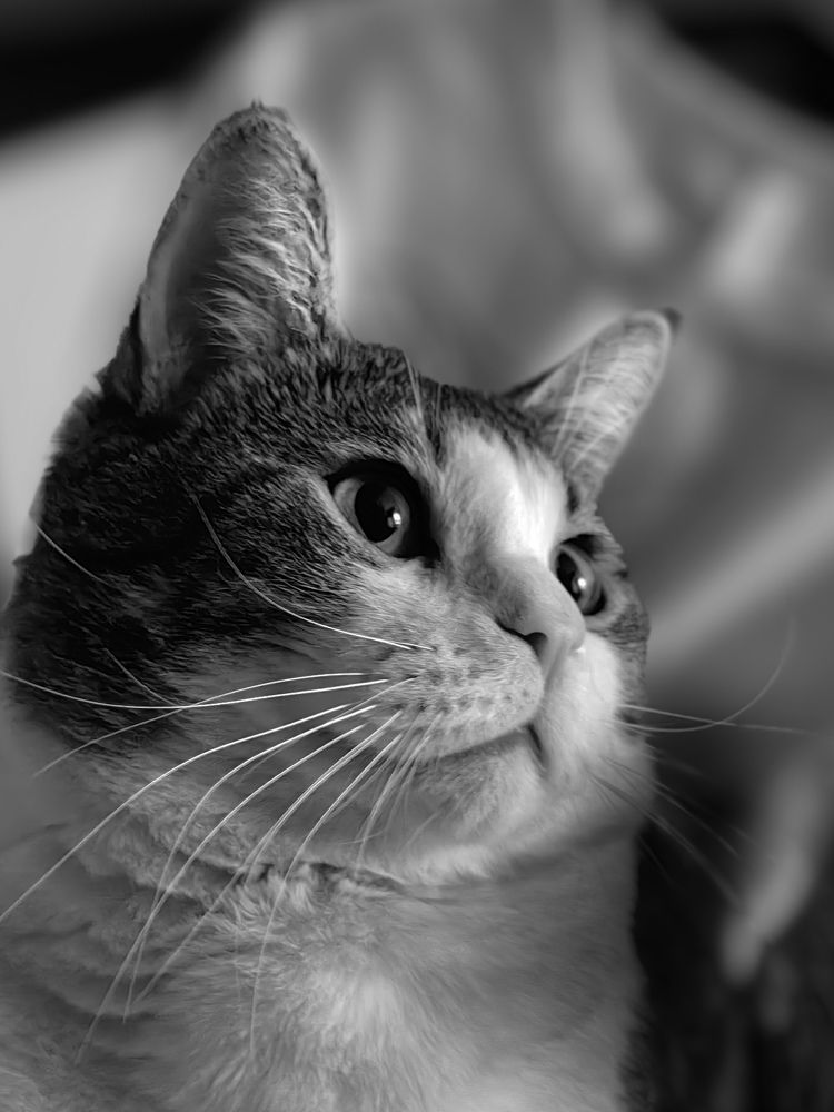 Фотография автора Наталия