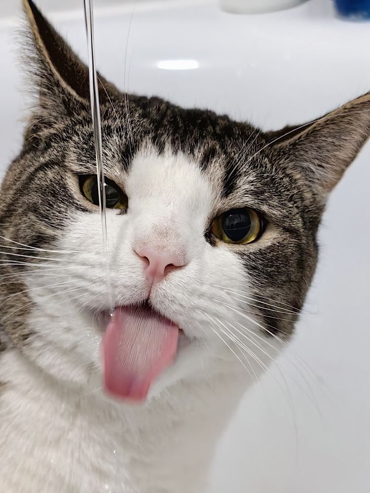 Фотография автора Наталия