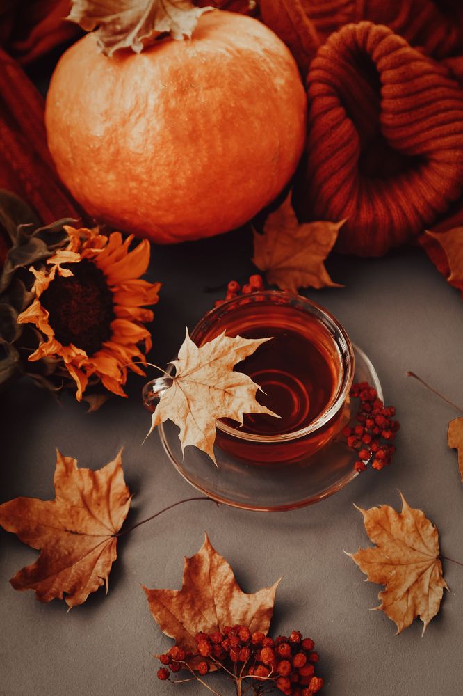 Фотография автора Альбина Кадочникова