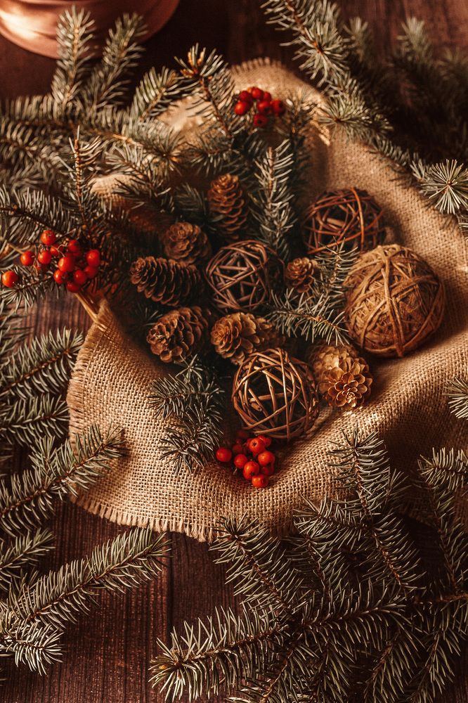 Фотография автора Альбина Кадочникова