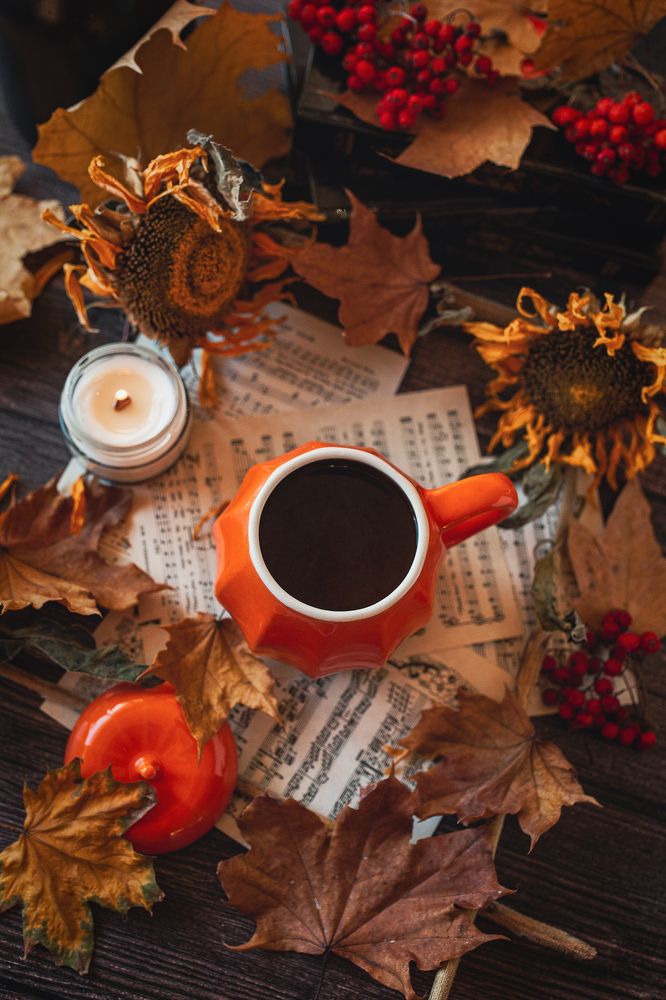 Фотография автора Альбина Кадочникова