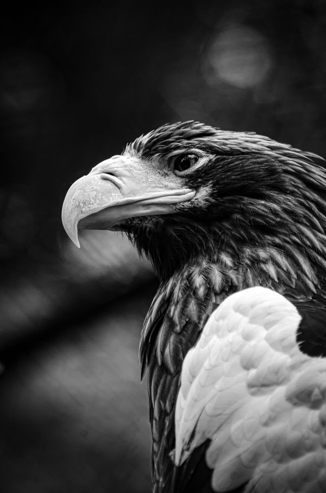 Photograph by Елена Берсенёва