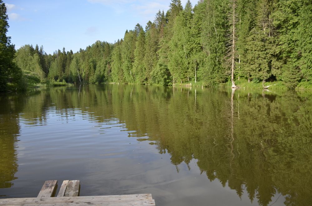 Фотография автора Алексей Власов