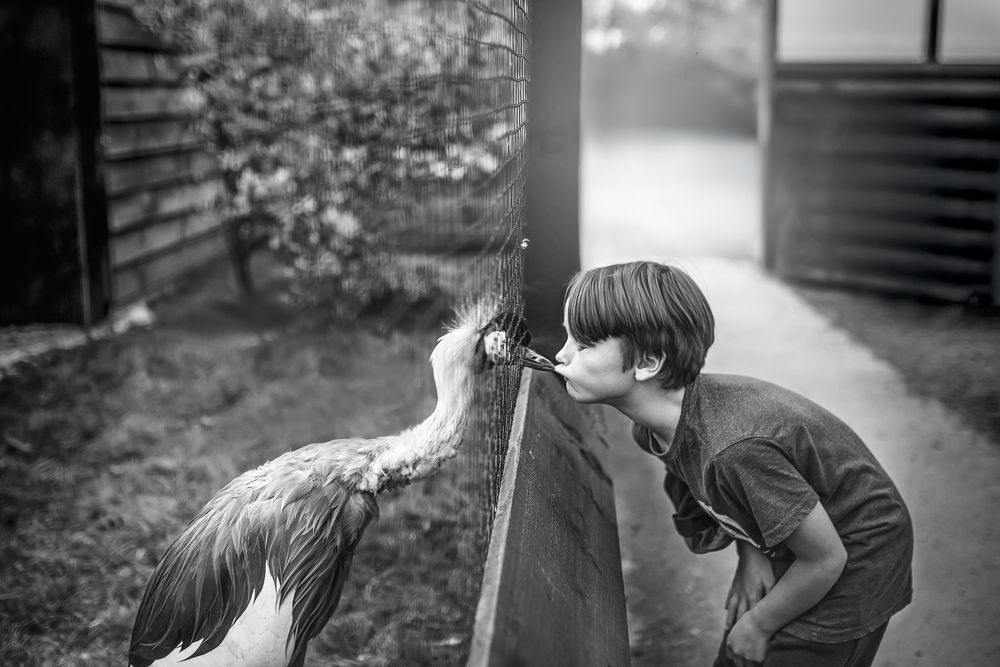 Photograph by PATRYCJA SZPUNAR