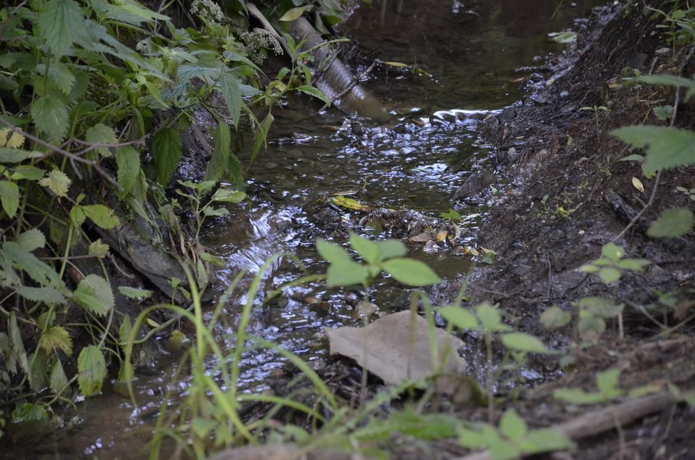 Фотография автора Алексей Власов