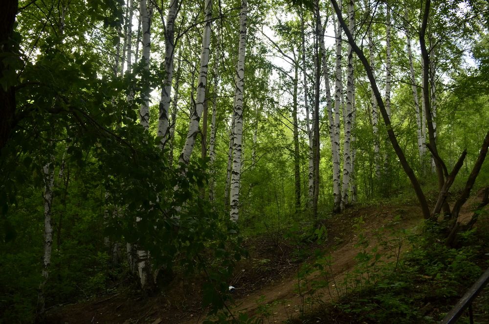 Фотография автора Алексей Власов