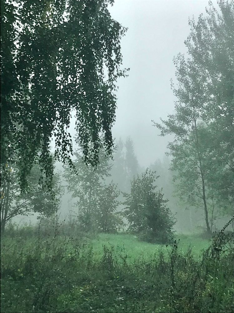 Photograph by Олег Китаев