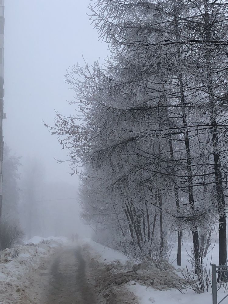 Photograph by Олег Китаев