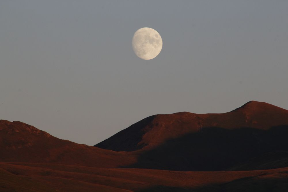 Фотография автора Mariami Sanishvili