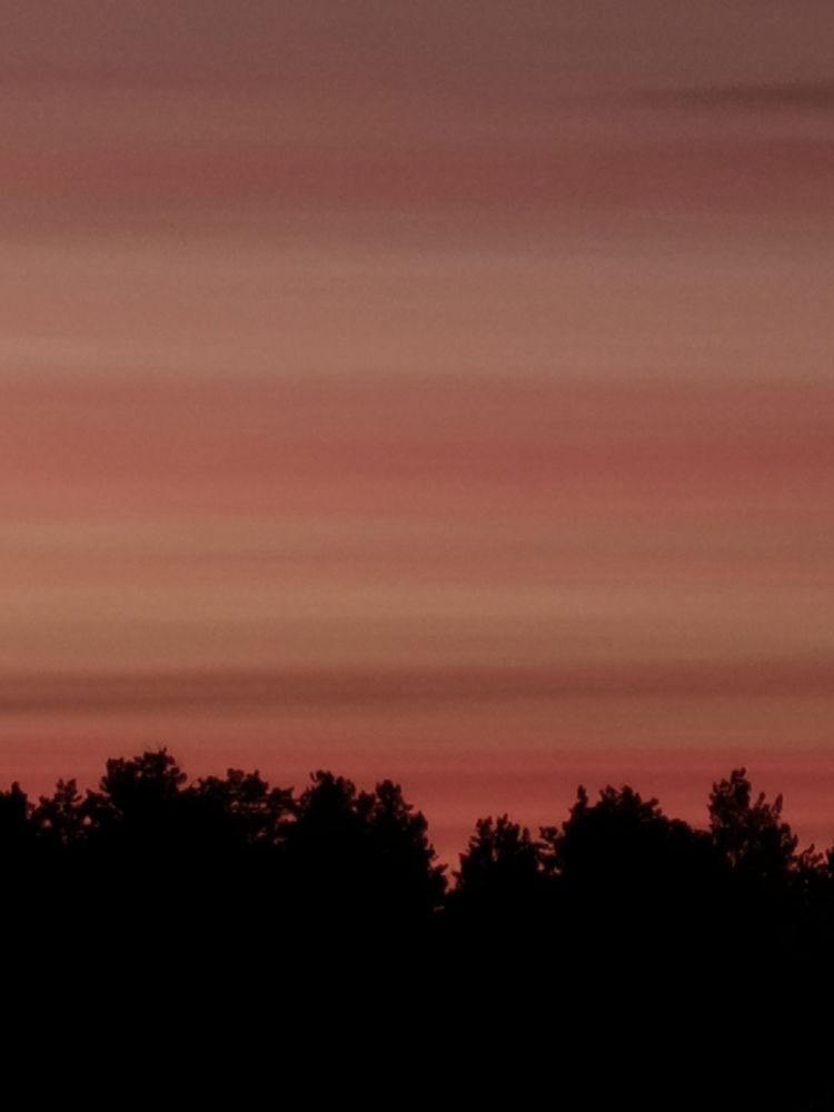 Photograph by Oxana Kostsova