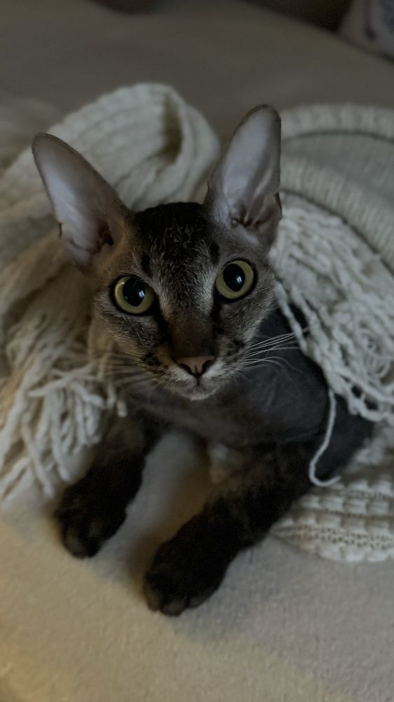 Photograph by Светлана Родионова